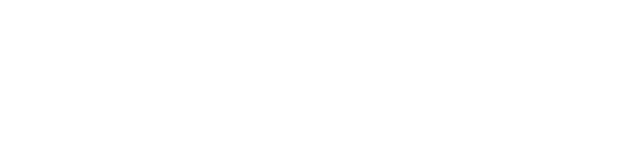 tiffany k borruso logo - white small caps@2x